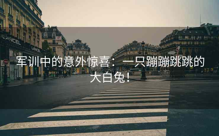 军训中的意外惊喜：一只蹦蹦跳跳的大白兔！