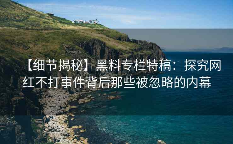 【细节揭秘】黑料专栏特稿：探究网红不打事件背后那些被忽略的内幕