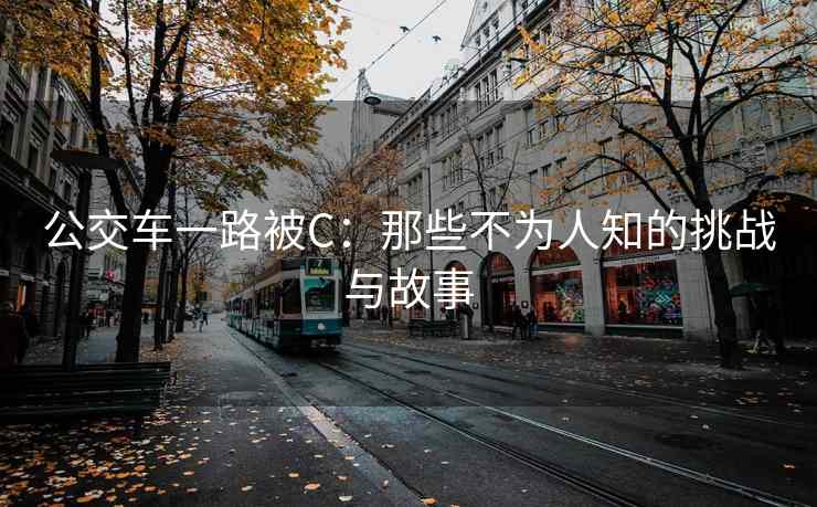 公交车一路被C：那些不为人知的挑战与故事
