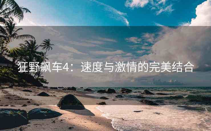 狂野飙车4：速度与激情的完美结合