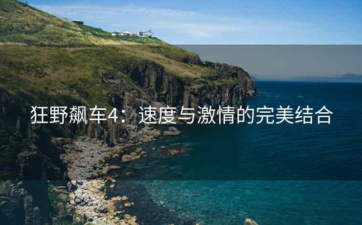 狂野飙车4：速度与激情的完美结合