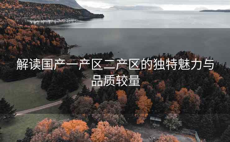 解读国产一产区二产区的独特魅力与品质较量