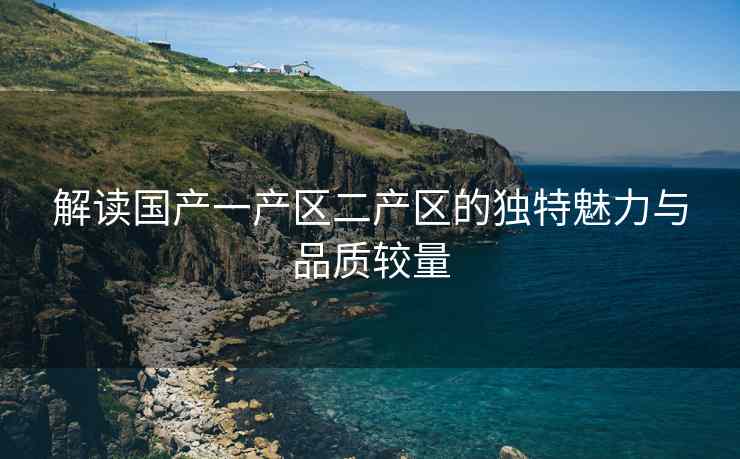 解读国产一产区二产区的独特魅力与品质较量
