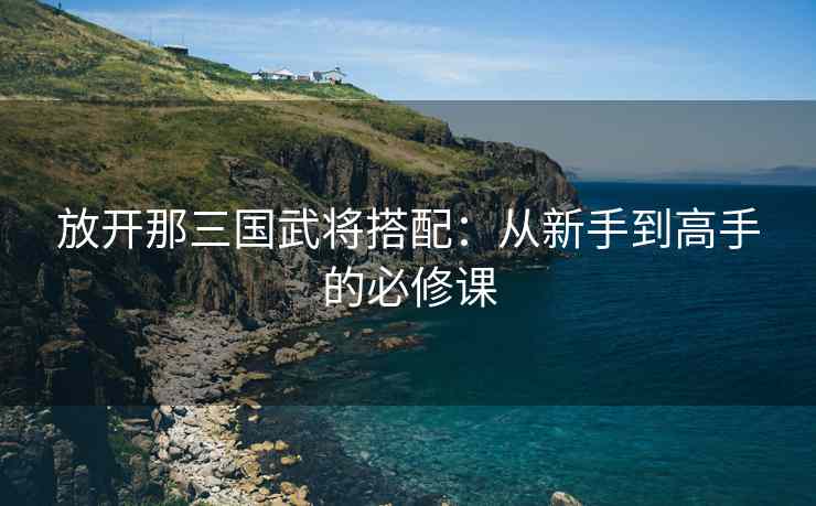 放开那三国武将搭配：从新手到高手的必修课